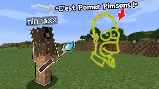 J'ai troll un Noob avec un Mod de Dessin Wtf sur Minecraft..