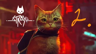 STRAY - This is the CUTEST GAME EVER (Part 2) (PS5)