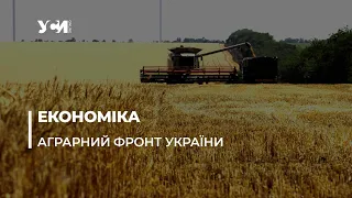 Аграрний фронт Одеського регіону: низькі закупівельні ціни на зерно та подорожчання овочів