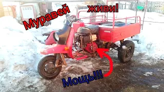 Новый двигатель на Мотороллер Муравей Honda 13л.с