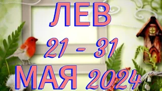 ЛЕВ ♌ 21 - 31 МАЯ 2024  РАБОТА ДЕНЬГИ 💰 ДЕЛА БИЗНЕС ПАРТНЕРЫ🌹  лайк👍 комментарий✍ ️ подписка🔔