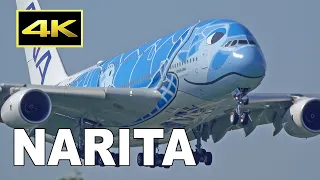 [4K] 99 Big Jets Plane Spotting at Tokyo Narita Airport 2019 / 成田空港 ANA JAL