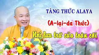 Tất Cả Những Gì Xảy Ra Trong Vũ Trụ Đều Chứa Trong A Lại Da Thức (Cực hay). Thầy Thích Trí Huệ