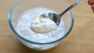 How To Make Coconut Yogurt At Home - Homemade Coconut Milk Curd -  Dairy Free Curd | Skinny Recipes