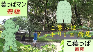 葉っぱマン西尾と豊橋【ドッキリ】/ Leaf Man -  Nishio and Toyohashi City Pranks 11