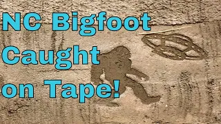 North Carolina Bigfoot Caught on Tape!