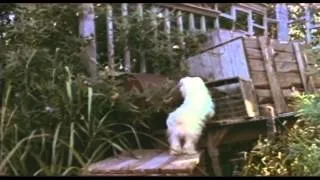 Benji Trailer 1974