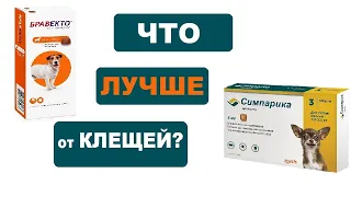 Бравекто или Симпарика | Что лучше от клещей? Совет ветеринара