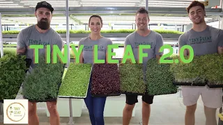 How to microgreen farm, a must watch, Tiny Leaf 2.0