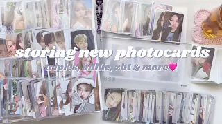 storing new photocards #39; ୧ ‧₊˚🎐⋅🐚 triples, zb1, billlie, kiof, purple kiss & more