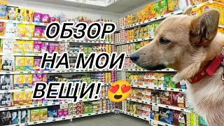 ОБЗОР НА МОИ ВЕЩИ!😍 ( Метис Бетти) Говорящая Собака 🐾