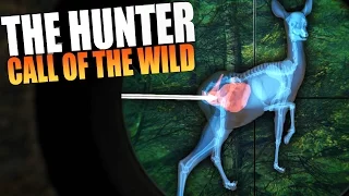 The Hunter: Call Of The Wild - HUNTING DEER, AMAZING ASS SHOT - The Hunter Gameplay