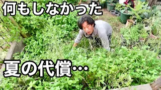 【草畑】はっきり言って夏サボりましたよ僕　【園芸超人カーメン君】