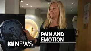 Constant pain changes the way your brain works, scientists find | ABC News