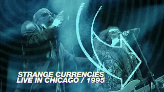 R.E.M. - Strange Currencies (Live in Chicago / 1995 Monster Tour)