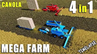 MEGA FARM - CANOLA HARVEST & CANOLA STRAW BALING! 4IN1 [ TimeLapse ] Farming Simulator 19