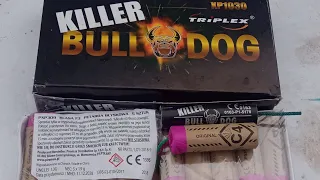 Killer Bulldog XP1030 C4 PXP309 /2018-9  porównanie na garnku