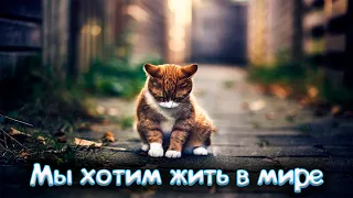 Пожалуйста, прекратите войну! мы хотим жить в мире!