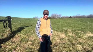 First day grazing on our newly purchased farm with steers and bull mob.