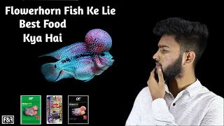 Best Food for Flowerhorn  | What is the Best Flowerhorn Food ? | ( In Hindi )