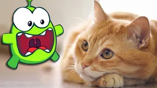Om Nom Stories: Scared Om Nom and Funny Kitten | Best Om Nom Cartoons For Kids by @OmNomLearnEnglish