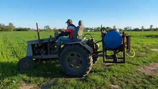 Обприскування пшениці від бур'янів саморобним оприскувачем.