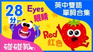英中雙語 單詞合集兒歌合集 | Learn Chinese and English together | 碰碰狐PINKFONG | 兒童兒歌