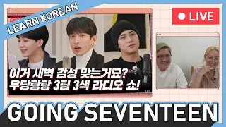 SEVENTEEN GOING Radio Show #1 - Learn Korean with Going Seventeen [Live]