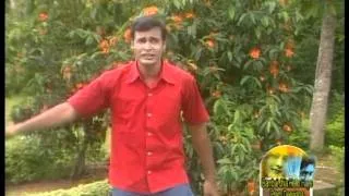 Phagunare Aasa Jadi [Full Song] Bombey Jhia Hallo Haaye- Prema Patara