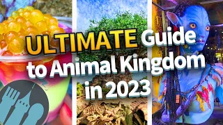 The ULTIMATE Guide to Animal Kingdom in 2023