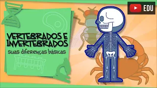 Vertebrados e Invertebrados - suas diferenças básicas