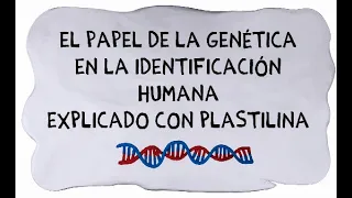 Video Genética CBPD - El papel de la genética en la identificación humana explicado con plastilina.