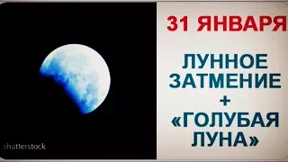 В январе полное лунное затмение впервые за 150 лет совпадет с "голубой луной"