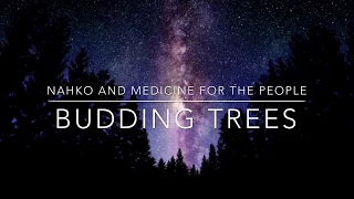 Budding Trees ( Lyrics / Lyric Video ) - By Nahko and Medicine for the People