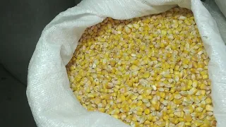 Ціни на макуху, кукурудзу та пшеницю.