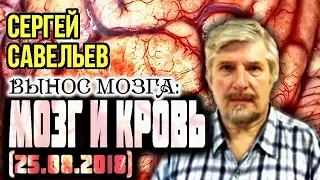 «ВЫНОС МОЗГА #53»: «Мозг и кровь». 25.08.2018. Савельев С.В.