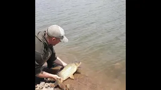 Peshkimi i krapit ne liqenin e batllaves dhe leshimi i tyre Catch and Release carp team kosova