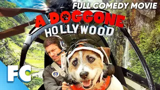 A Doggone Hollywood | Full Movie | Family Adventure Dog Movie | Family Central