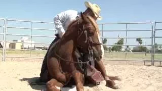 Mustang named after fallen Border Patrol agent