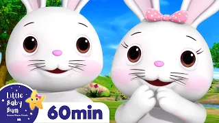 Bunny Song! | +More Little Baby Bum Kids Songs and Nursery Rhymes