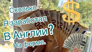 Сколько я заработал в Англии на ферме?