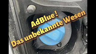 AdBlue Verbrauch, Ford Transit Tankinhalt, AdBlue Wirkweise