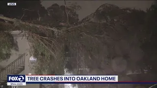 Tree slams into Oakland apartment building