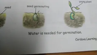 Class 3, EVS, Chapter 8, Plants and Animals Need Water, Reading Part 1