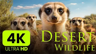 Desert Animals 4K | Scenic Relaxation Film #nature #explore #治癒 #治癒音樂 #放鬆 #放鬆視頻 #animals #助眠 #睡眠