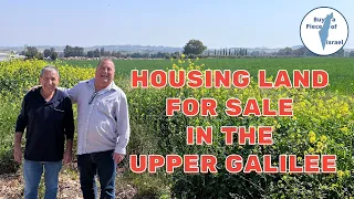 Housing Land for Sale in the Upper Galilee