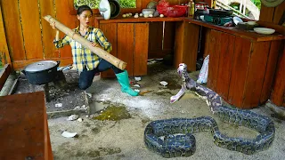 The snake entered the house to eat eggs, built a fish pond p11 - 3 years living in the forest