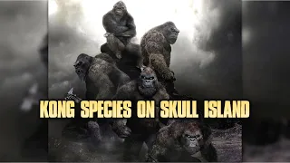 Why were Kongs in Skull Island? Godzilla vs Kong Ancient War from Novelization Explained