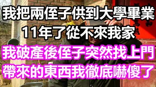 我把兩侄子供到大學畢業，11年了從不來我家，我破產後侄子突然找上門，帶來的東西我徹底嚇傻了#淺談人生#為人處世#生活經驗#情感故事#養老#退休#花開富貴#深夜淺讀#幸福人生#中老年頻道#中老年幸福人生