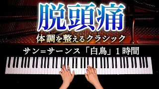 頭痛に効く・聴くクラシック白鳥１時間【途中広告なし・脱頭痛・睡眠・癒し・寝かしつけ・作業用・勉強用BGM】サン・サーンス - ピアノ - Classical Piano - CANACANA